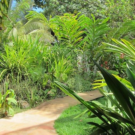 Pousada Coqueiro Verde Itacaré Exteriör bild