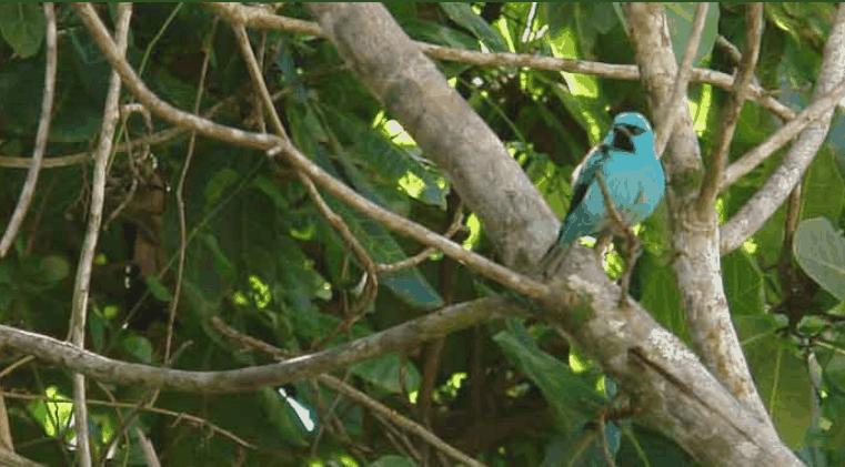 Pousada Coqueiro Verde Hotell Itacaré Exteriör bild